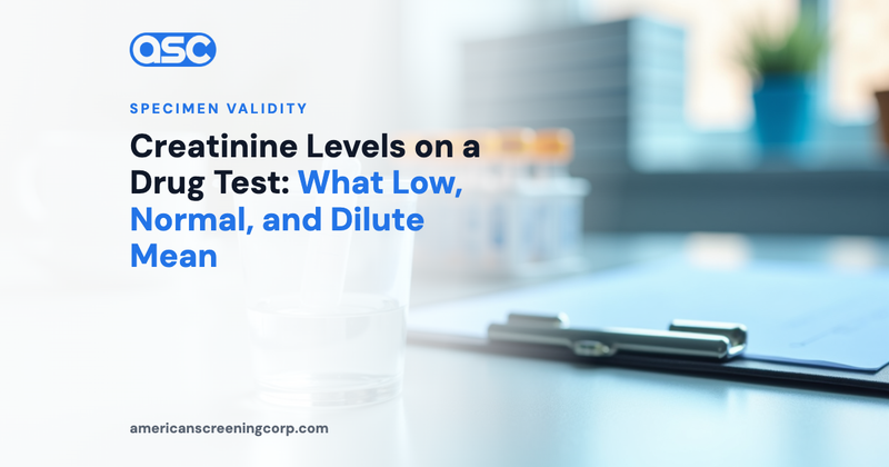 Creatinine Levels on a Drug Test: What Low, Normal, and Dilute Mean