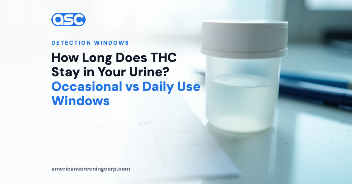 How Long Does THC Stay in Your Urine? Occasional vs Daily Use Windows