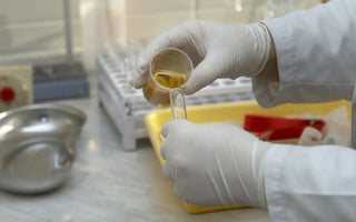 6 Major Reasons for Drug Testing at Work