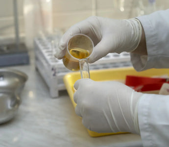6 Major Reasons for Drug Testing at Work