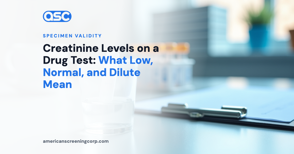 Creatinine Levels on a Drug Test: What Low, Normal, and Dilute Mean