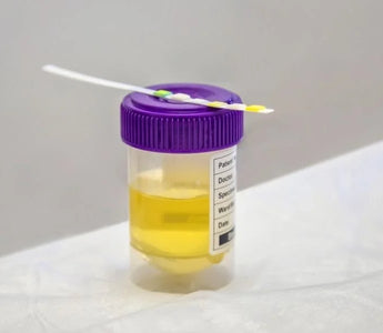 Chain of Custody and Drug Testing