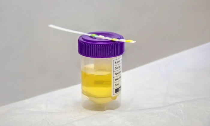 Chain of Custody and Drug Testing