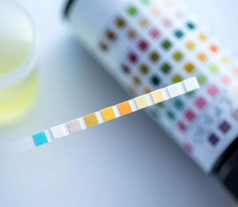 Common Misconceptions About Workplace Drug Testing