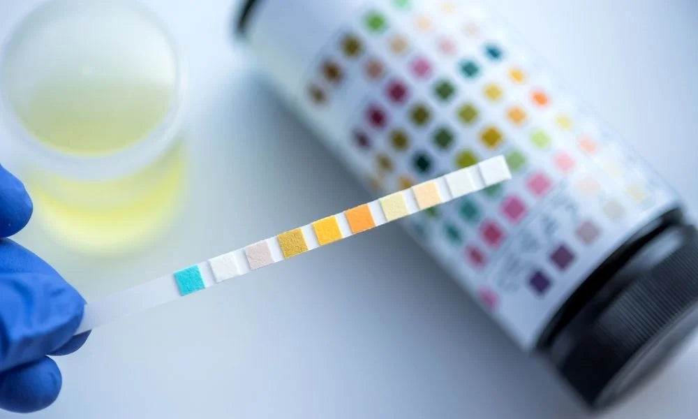 Common Misconceptions About Workplace Drug Testing