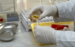 Four Common Myths about Drug Testing