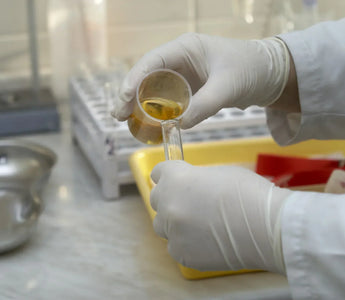 Four Common Myths about Drug Testing