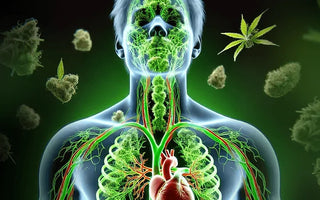 How Long Do Drugs Stay In Your System?