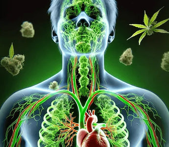 How Long Do Drugs Stay In Your System?