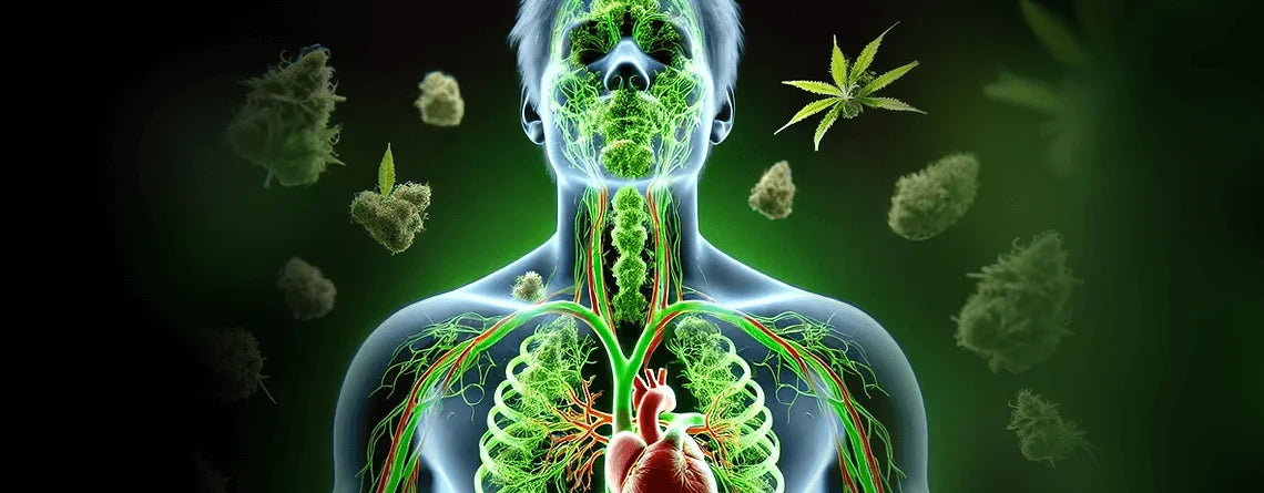 How Long Do Drugs Stay In Your System?