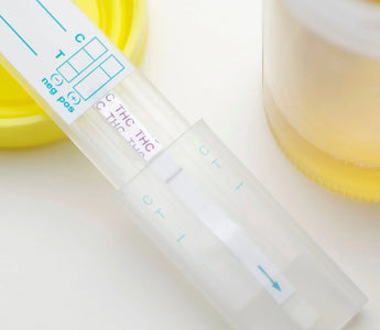 How to Use Home Drug Tests Kits?