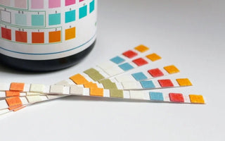Pre-Employment Drug Testing: A Step-by-Step Procedural Guide