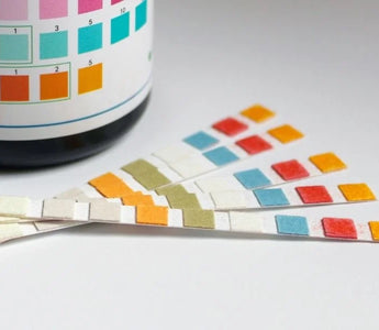 Pre-Employment Drug Testing: A Step-by-Step Procedural Guide