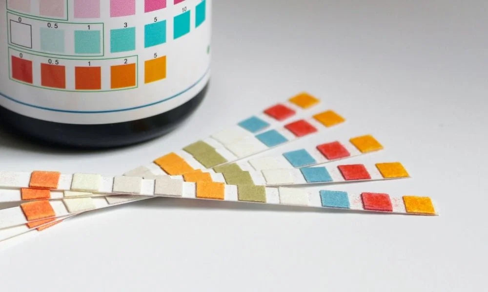 Pre-Employment Drug Testing: A Step-by-Step Procedural Guide