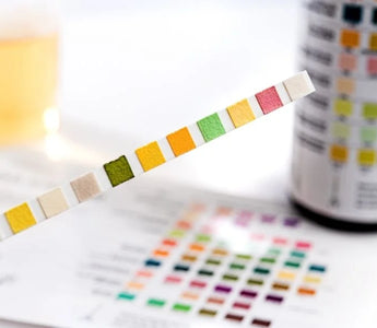 The Different Drug Abbreviations in Drug Testing