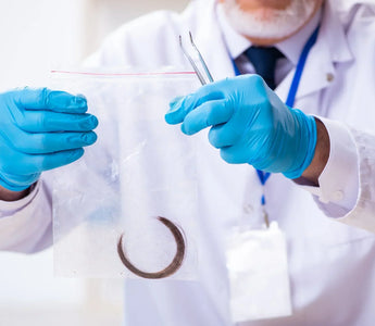 Top 5 Myths About Hair Drug Testing