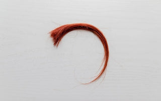 What Hair Drug Testing Is and How It Works