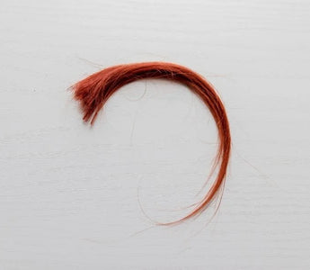 What Hair Drug Testing Is and How It Works