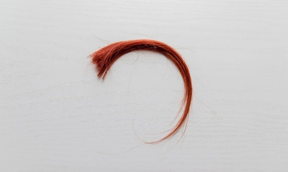 What Hair Drug Testing Is and How It Works