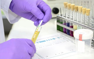 What Is a Regulated Drug Screen?