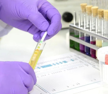 What Is a Regulated Drug Screen?
