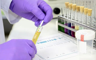 What Small Businesses Should Know About Drug Testing