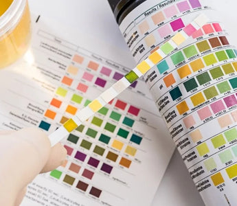 What do the Colors Mean on a Drug Test Cup