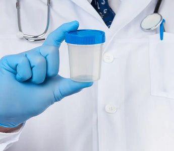 Whats on a 13-Panel Drug Test
