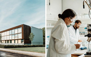 Drug Testing in the Pharmaceutical Industry: From Lab to Launch