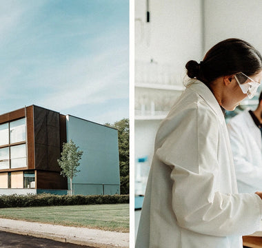 Drug Testing in the Pharmaceutical Industry: From Lab to Launch