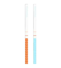 Urine Drug Test Strips