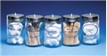 Jar Sundry Glass Clear-5/Pk